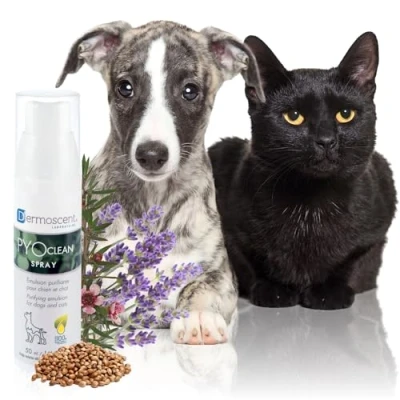 Immagine di PYOclean® Spray cani e gatti Dermoscent® 50ml