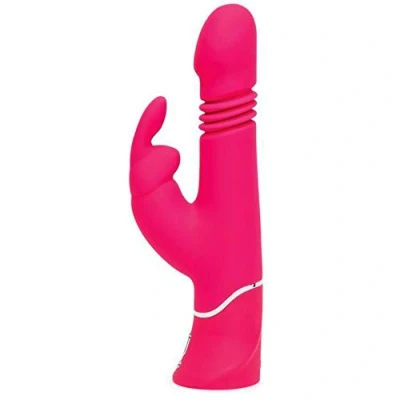Immagine di Happy Rabbit Thrusting Realistic
