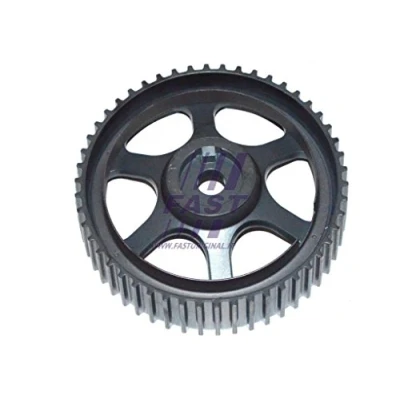 Immagine di FAST FT45593 Ruota dentata, Albero a camme FIAT: Stilo Multi Wagon, Croma II Station BRAVO 2