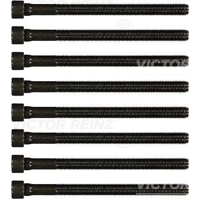 Immagine di REINZ 14 32059 02 Kit Bulloni Testata Poligonale incassata AUDI: A4 B6 Avant, B6/B7 Cabrio, B5 Sedan, VOLKSWAGEN: Passat GP Variant