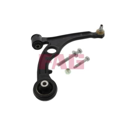 Immagine di FAG 821 0794 10 Braccio oscillante, Sospensione ruota trasversale oscillante Acciaio fuso FIAT: Stilo Hatchback, Multi Wagon