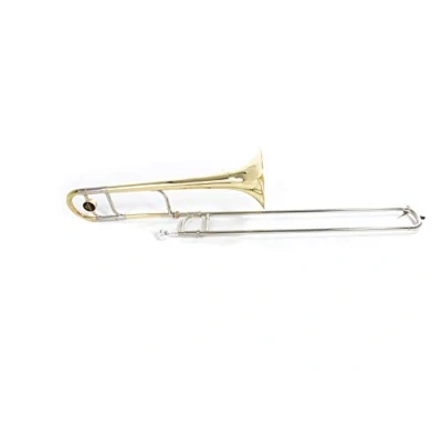 Immagine di Roy Benson trombone tenore in Sib TT 236 (campana ottone da 8&quot;, foro 13,34 mm, guide alpacca di alta qualità, qualità del suono professionale, custodia sagomata facile trasportare)