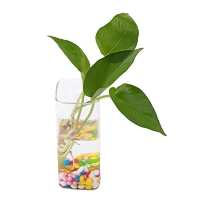 Immagine di Vaso in vetro per piante e fiori coltura idroponica, da appendere, a forma di cipolla, transparent, #5
