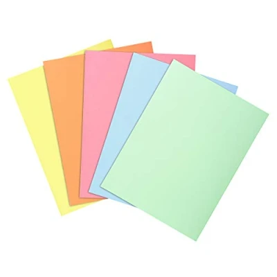 Immagine di Exacompta Cod 850100E Confezione da 100 Sottocartelline SUPER 60 g/m2 Color Pastello, Sotto Cartelline Certificate PEFC, Dimensioni 22 x 3 cm per il Formato A4, 5 Colori Assortiti