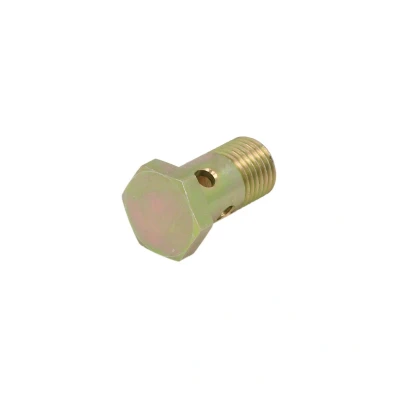 Immagine di DT Spare Parts 3.15120 Vite cava