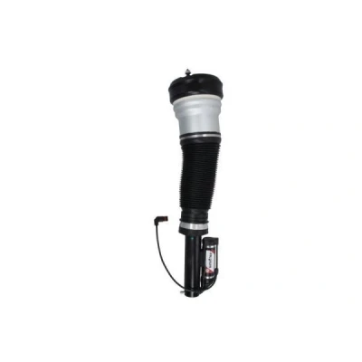 Immagine di Magnum Technology APM009MT Gamba elastica con ammortiz. pneumatico anteriore MERCEDES BENZ: Classe S Sedan