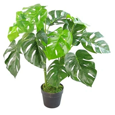 Immagine di Leaf 7151 Pianta artificiale di Monstera, 80 cm, vaso nero