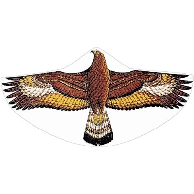 Immagine di GÜNTHER FLUGSPIELE 1146 aquilone per bambini con motivo dell&#039;aquila d&#039;oro, a linea singola in robusto foil di PE, partire da 4 anni, dimensioni circa 122 x 68 cm