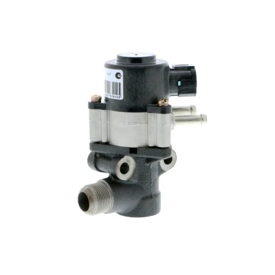 Immagine di Valvola ricircolo gas scarico EGR ACKOJA A38 63 0001