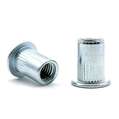 Immagine di DOJA Industrial Rivetti Filettati Acciaio Galvanizzato M6 50 Pezzi Dadi per Rivettatrice con Inserti Filettato Set Attrezzatura Officina Fissare Tubi Innocenti, Metallo e Alluminio