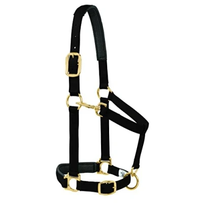 Immagine di Weaver Leather Capezza imbottita regolabile per mento e gola a scatto, 2,5 cm cavallo grande o 2 anni, nero tinta unita