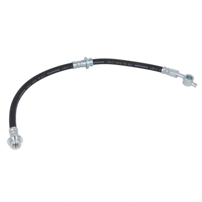 Immagine di DELPHI LH6209 Tubi Freno 488 M10x1 Int SF