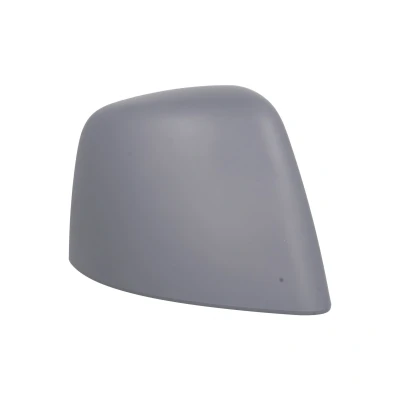 Immagine di Specchietto retrovisore esterno rivestimento BLIC 6103 03 2001252P