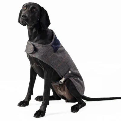 Immagine di HUGO &amp; HUDSON x HACKETT Giacca per cani in tweed, cappotto invernale con collo velluto a coste, Spina di pesce quadri grigi, XS25