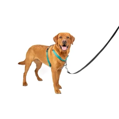 Immagine di PetSafe Pettorina per Cani 3 in 1, con Speciale componente Auto