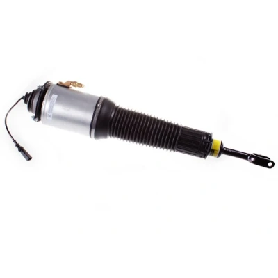 Immagine di DENCKERMANN DSA010G Gamba elastica con ammortiz. pneumatico Assale anteriore Sx