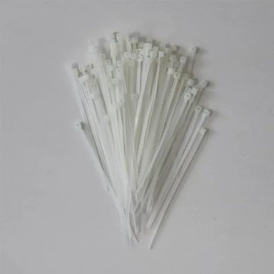 Immagine di Thorsman 100 fascette stringicavo in poliammide x 2,5 mm, colore trasparente, diverse misure, bordi arrotondati lisci, super resistenti, autobloccanti per la gestione dei cavi