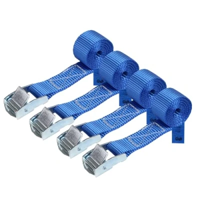 Immagine di Cinghia di fissaggio Cinghie tensione blu 2,5m 4m 6m diverse quantità, sicura del carico resistenza fino a 250 kg DIN EN 12195 2, 4 pezzi 2.5 cm x 1 m