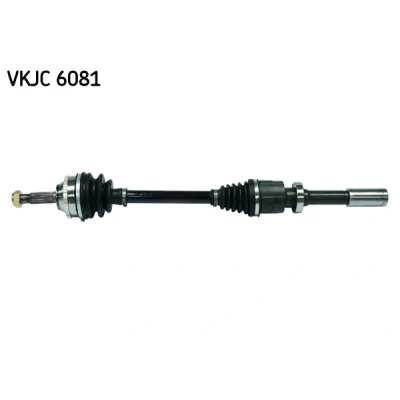 Immagine di SKF VKJC 6081 Albero motore / Semiasse 718, 172 con supporto/cuscinetto RENAULT: CLIO 2