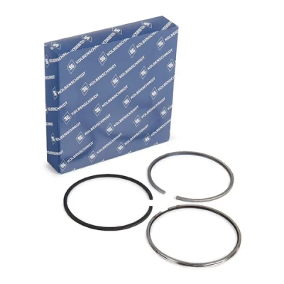 Immagine di KOLBENSCHMIDT 800077410000 Kit Fasce Elastiche 81,01 VOLKSWAGEN: Transporter 5, Multivan 5 (7HM