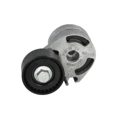 Immagine di SKF VKM 33061 Rullo Tendicinghia CITROËN: C3 I Hatchback, Xsara Picasso, Berlingo / First I, PEUGEOT: 206 SW, FORD: FIESTA 5