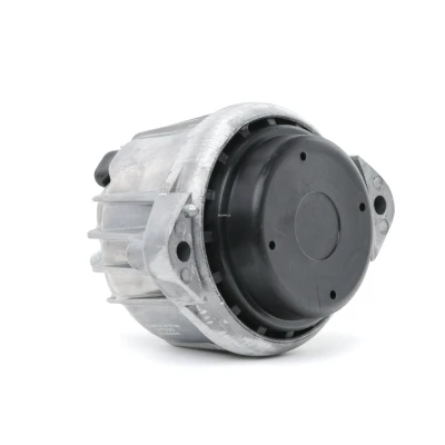 Immagine di DELPHI TEM099 Supporto motore BMW: 3 Sedan, 1 Hatchback, Touring