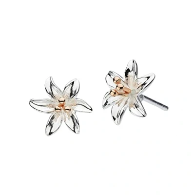 Immagine di Dew 4085RG Orecchini a perno, forma di giglio tigre, in argento Sterling e con placcatura oro rosa
