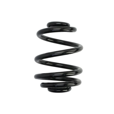 Immagine di KYB K Flex RX6237 Molle ammortizzatori Assale posteriore Molla elicoidale con diametro filo constante RENAULT: Kangoo I Express,