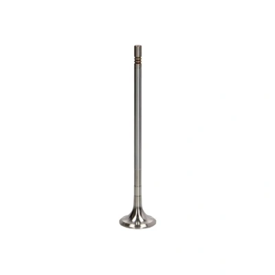 Immagine di TRW Engine Component 48316 valvola di Scarico 40 stelo cromato, Sede corazzata, Terminale temprato