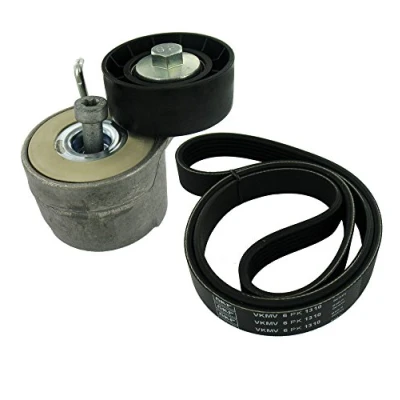 Immagine di SKF VKMA 32081 Kit cinghie Poly V FIAT: Punto II Hatchback, 500 Idea, LANCIA: Ypsilon III, II, Musa, FORD: KA Hatchback