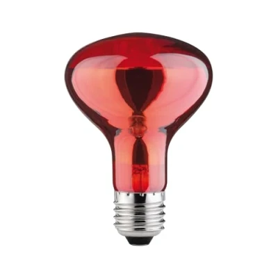 Immagine di Paulmann Lampada a infrarossi E27 60 W (Ø x L) 80 mm 115 230 V 1 pz.