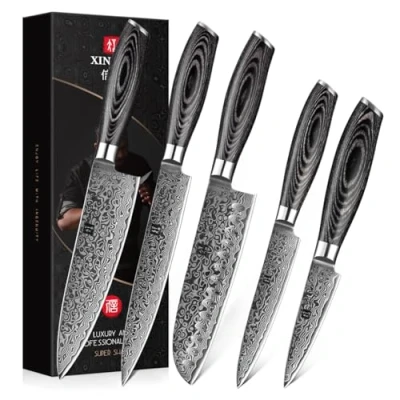 Immagine di XINZUO 5 Pezzi Set di Coltelli da Cucina Acciaio Damasco, Professionale Coltello Cuoco, Chef Santoku Affettare Universale Frutta Manico in Legno Pakka