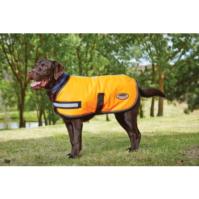 Immagine di Weatherbeeta ComFiTec Reflective Parka 300D Dog Coat 220g