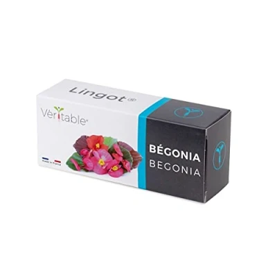 Immagine di Lingot® Begonia Compatibile con Orto da interni autentico® ed Exky® Ricarica pronta all&#039;uso Substrato semi incorporati..