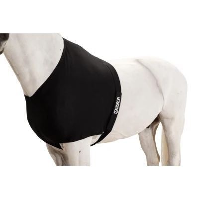 Immagine di Eskadron chest protector Dynairmesh