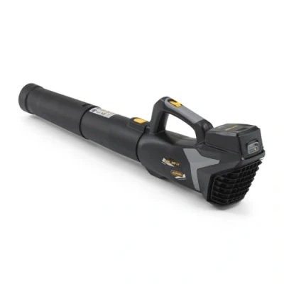 Immagine di Alpina Soffiatore a Batteria ABL 20 Li Kit, per un Giardino Pulito e in Ordine, 20V (4 Ah), 280 W,Tubo Rimovibile Salvaspazio, Caricabatteria incl.