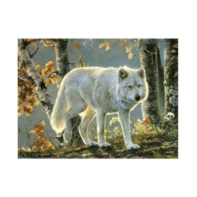 Immagine di Pracht Creatives Hobby Animale Diamanti, Quadro con Motivo di Lupo Bianco e Accessori, Set per dipingere Pietre Scintillanti, Bambini a Partire dai 5 Anni età, Multicolore, 6040 40231