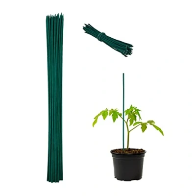 Immagine di Relaxdays Set da 50 Bastoncini per Piante, Supporti Rampicanti, Verdure, Ø 6mm, Fili Legatura incl, 60cm, Verde