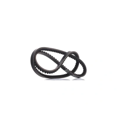 Immagine di Cinghia trapezoidale DAYCO 10A1010C