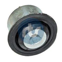 Immagine di RTS 017 00403 Silent Block Assale anteriore bilaterale, inferiore 46 Cuscinetto gomma metallo per braccio trasversale oscillante RENAULT: CLIO 2
