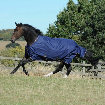 Immagine di Bucas Affluenza irlandese 150 Navy / Gold Lunghezza posteriore: 165 cm &amp; inferiore 213