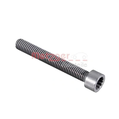 Immagine di METZGER 0873058 Bullone, Supporto iniettore
