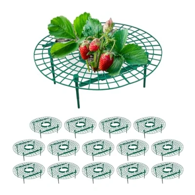 Immagine di Relaxdays Set da 15 Anelli di Supporto per Fragole, Sostegno in Plastica Piante Orto, Rete Antimuffa, Verde, 10 x 30 cm