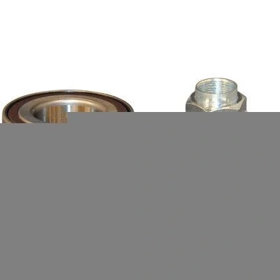 Immagine di JP GROUP 3441300510 Kit cuscinetto ruota con anello sensore ABS 73 HONDA: Jazz 2, CR V 2