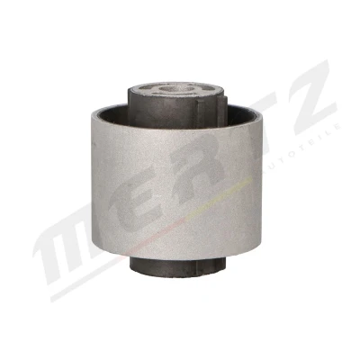 Immagine di Supporto, Braccio oscillante MERTZ M S4145