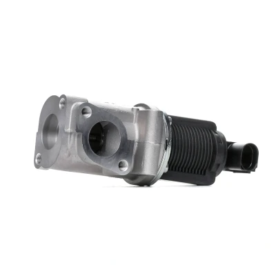 Immagine di PIERBURG 7.22946.38.0 Valvola EGR elettrico elettromagnetica con guarnizione OPEL: Zafira B, Astra H Hatchback, Caravan, FIAT: Sedici