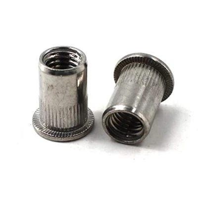 Immagine di Inserto per rivetti a testa piatta M12 in acciaio inox 304 con inserti filettati, confezione da 20