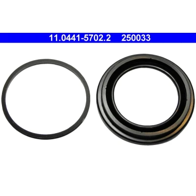 Immagine di ATE 11.0441 5702.2 Kit guarnizioni, Pinza freno a disco MASERATI: 420/430, Biturbo Coupe