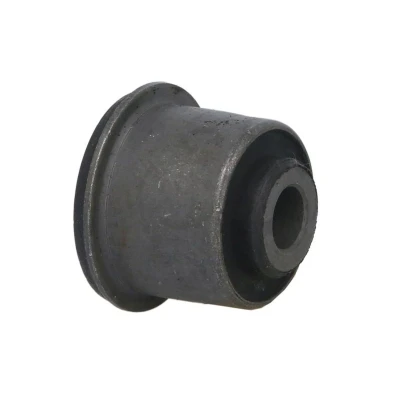 Immagine di DELPHI TD997W Silent Block CITROËN: C5 III Station Wagon, 3, C6 Sedan, PEUGEOT: 407 SW, 508 I BMW: 3 Sedan