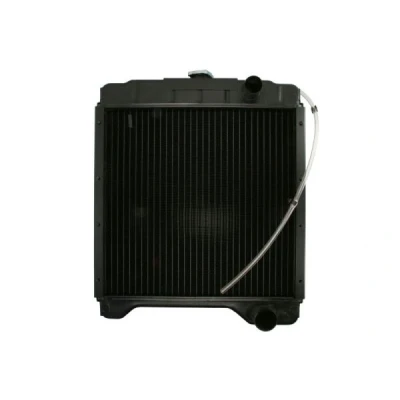 Immagine di Radiatore, Raffreddamento motore THERMOTEC D7AG009TT